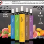 Vudu Filter 2500 Puffs Disposable Vape in Dubai UAE