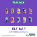 Elf Bar TE 6000 Disposable Vape in UAE