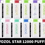 VOZOL STAR 12000 Puffs 20mg & 50mg Disposable Vape in Dubai